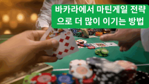카지노와 토토의 배팅 배당률 계산